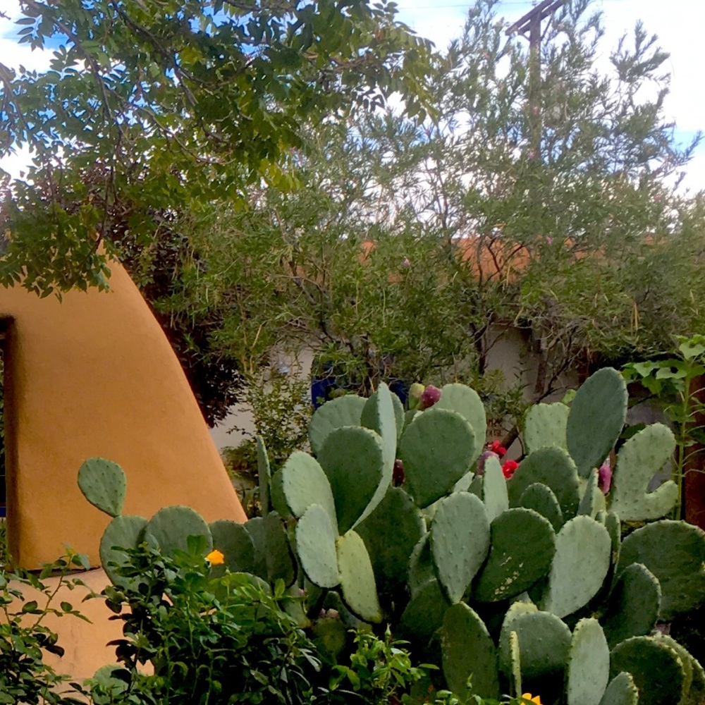 Meet your Posher, Elis